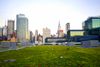 Go Behind the Scenes on the Javits Center Green Roof