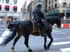 NYC Fun Facts: Why We Need Mounted “10-Foot Tall Officers” in NYC