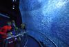 Take a Virtual Deep Sea Adventure With National Geographic Encounter: Ocean Odyssey, Opening Tomorrow in Times Square