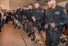 Cities 101: How Do Dogs Become MTA Police Officers?