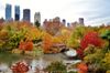 10 Best Places to See Foliage in Central Park