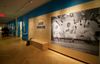 New Exhibit at the Museum of the City of New York Honors the Legacy of Baseball Legend Jackie Robinson