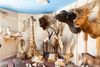Inside Torah Animal World, NYC’s Museum Filled with Taxidermy Creatures