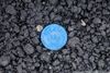 Cities 101: No, Those Aren’t Bottle Caps Embedded in NYC’s Streets