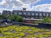 A Green Roof Atop THE POINT in the Bronx is Providing Free Internet to Hunts Point