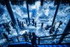 Artechouse Submerge