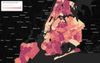 Coronavirus cases by zip code