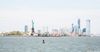 NYC skyline and the Statue of Liberty as seen from the water