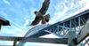 Falcon flying over the Bayonne Bridge