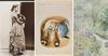 See Childhood Sketches of Beloved Illustrator Beatrix Potter at The Morgan