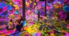 Timeless Butterflies at Artechouse