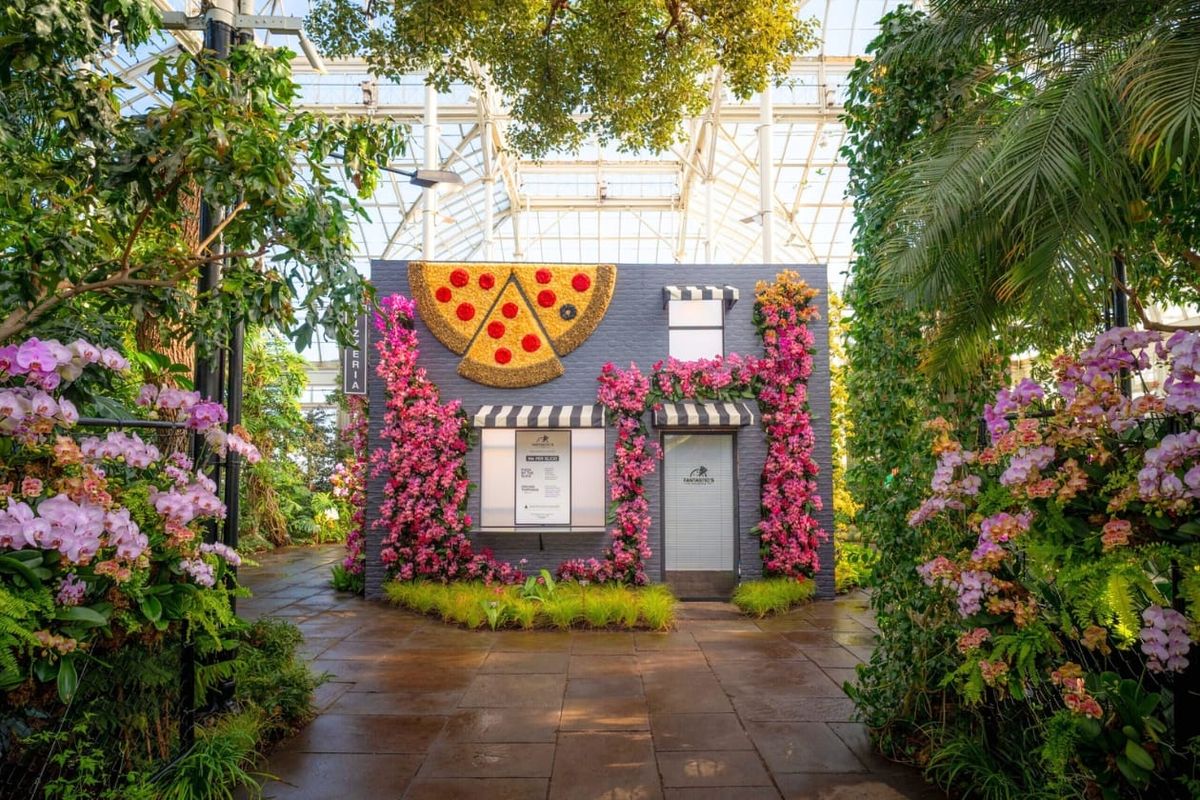 Inside ‘Concrete Jungle’: 7,000 Orchids Transform the Ny Botanical Garden