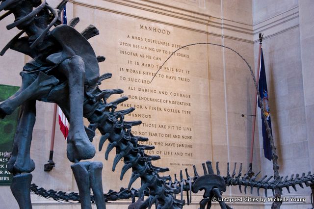 Museum of Natural History_Theodore Roosevelt_Rotunda_Murals_New York City-5