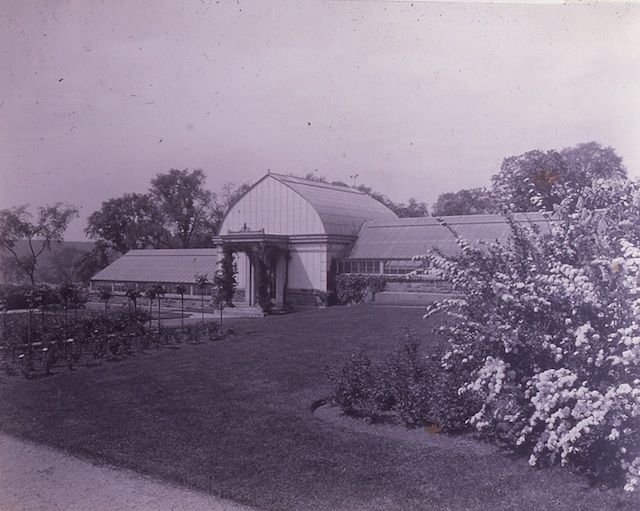Wave Hill Conservatory credit Wave Hill