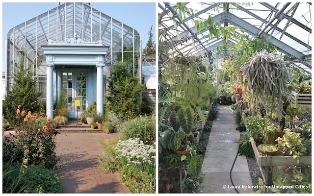 Wave Hill Greenhouse UntappedNY
