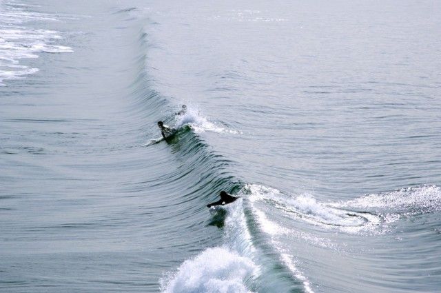 LA_beaches_005