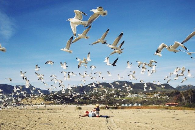 Malibu beach Malibu beach