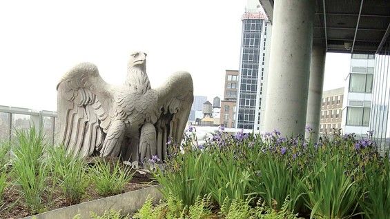 Penn Station eagle at Cooper Union