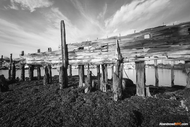 The ruins of an old marina rot on the northern edge of the property.