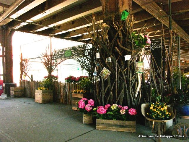 The new entrance to The Urban Garden Center as they reopen