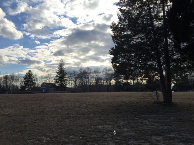 German Gardens-Nazi Town Yaphank-Adolf Hilter Street-Goebbels-Goering-Camp Siegfeld-Long Island-NY-060