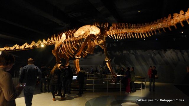 Titanosaur Untapped Cities AFineLyne