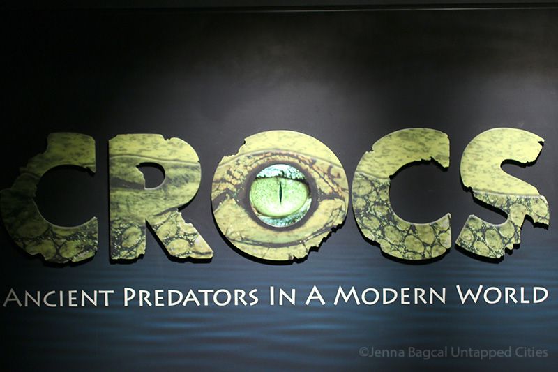 AmericanMuseumofNaturalHistory-Crocs-Manhattan-8