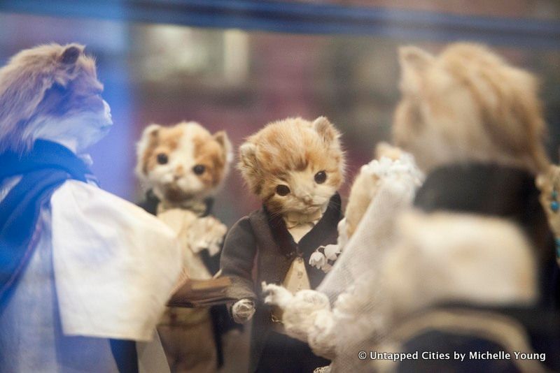 morbid-anatomy-museum-walter-potter-kitten-wedding-taxidermy-exhibit-gowanus-brooklyn-nyc_11