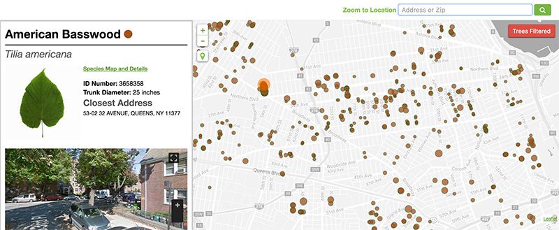 street-tree-map-nyc-untapped-cities1