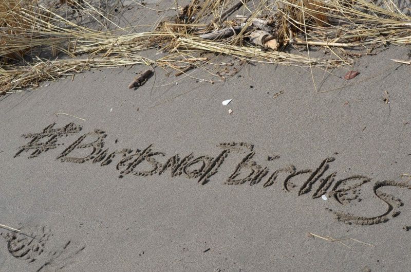 #Birdsnotbirdies written in the sand
