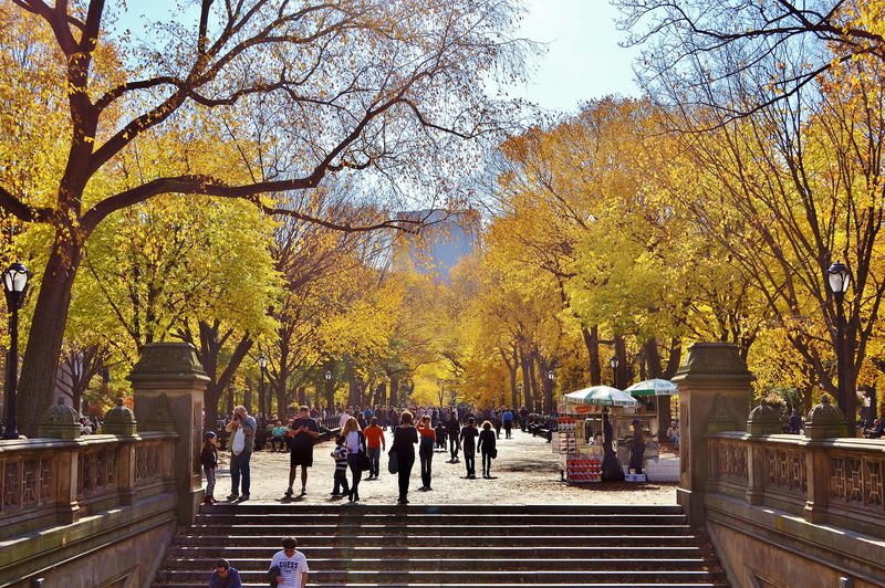 Central Park fall foliage shines along the straight path of the Mall.