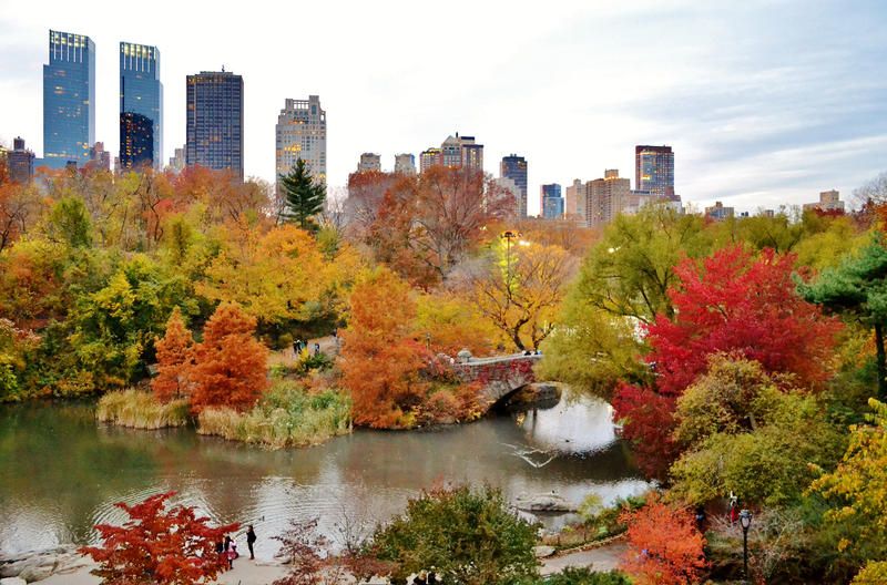 Central Park fall foliage surrounds the stone Gapstow bridge.