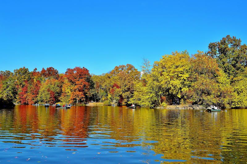 Colorful trees line a body of water in the Ramble.
