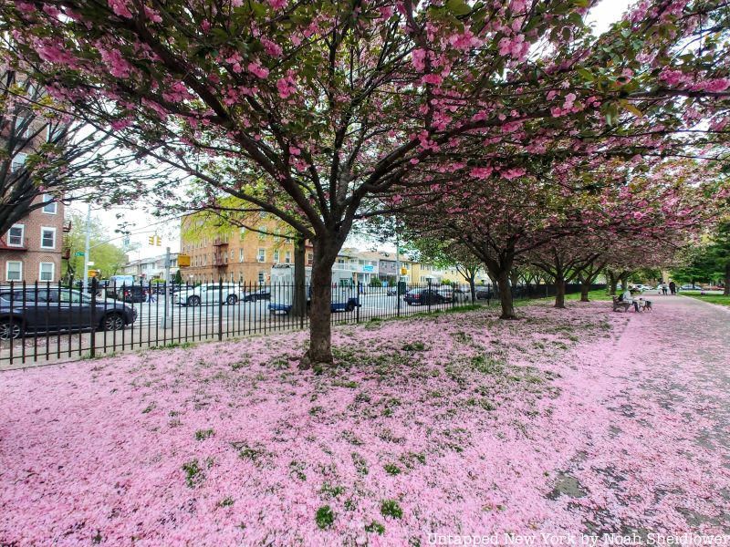Seth Low Playground in Bensonhurst