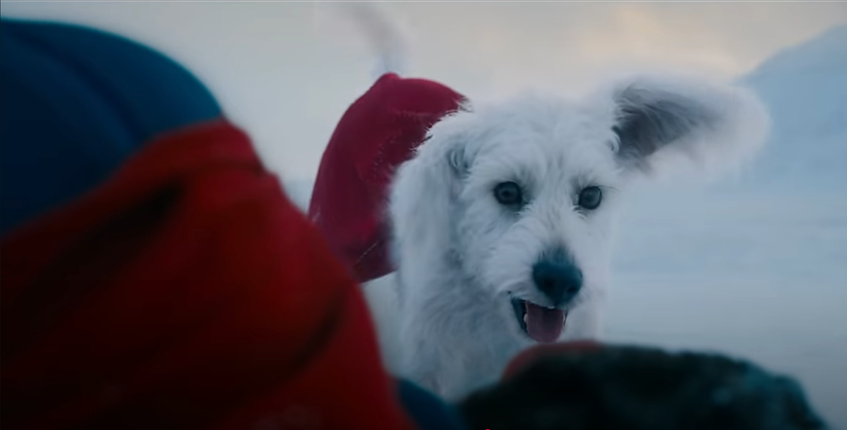 The Five Spot: Rascal Dogs, Cussing, And Bad Decisions