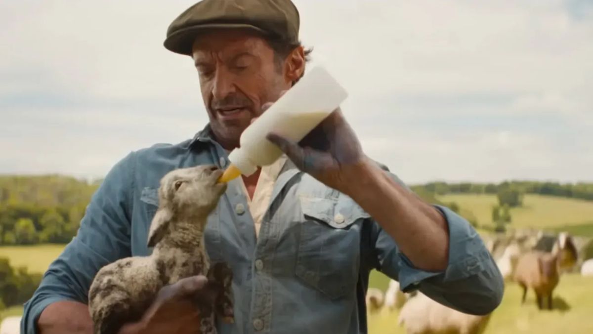 Reasons To Watch 'The Sheep Detectives,' Ranked