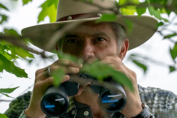 a quote that lives in my brain