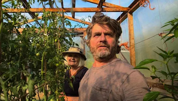The Five Spot: Zach Galifianakis, A Good Scottish Comedian, And A Real-Life Beekeeper Situation