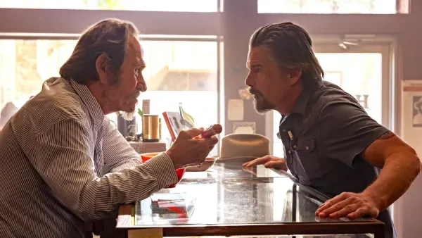 Reasons To Watch The Lowdown, Ranked