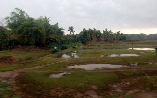 Landmine and UXO casualties rise in Rakhine State, Myanmar