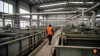 Zangge Mining — Beklenti üstü kâr