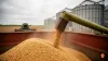 Tarım — USDA mısırda daralma, soya ve buğdayda talep artışı