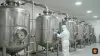 Angel Yeast — 2Ç26 net kar sapması