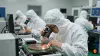 Fuzhou Rockchip Electronics — Güçlü fiyatlama ortamı
