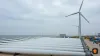 Rüzgar — Kar marjı toparlanması ve deniz üstü katalizörleri