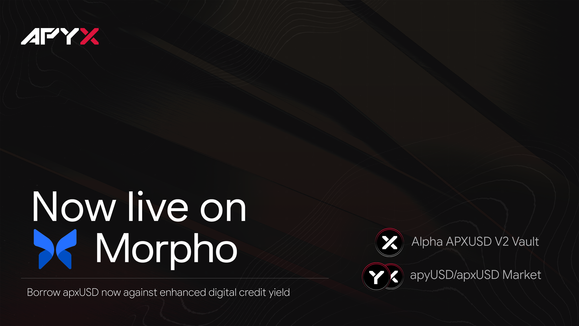 Apyx is now live on Morpho