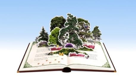 Further details announced for the cultural celebrations in Ashdown Forest for Winnie-The-Pooh centenary