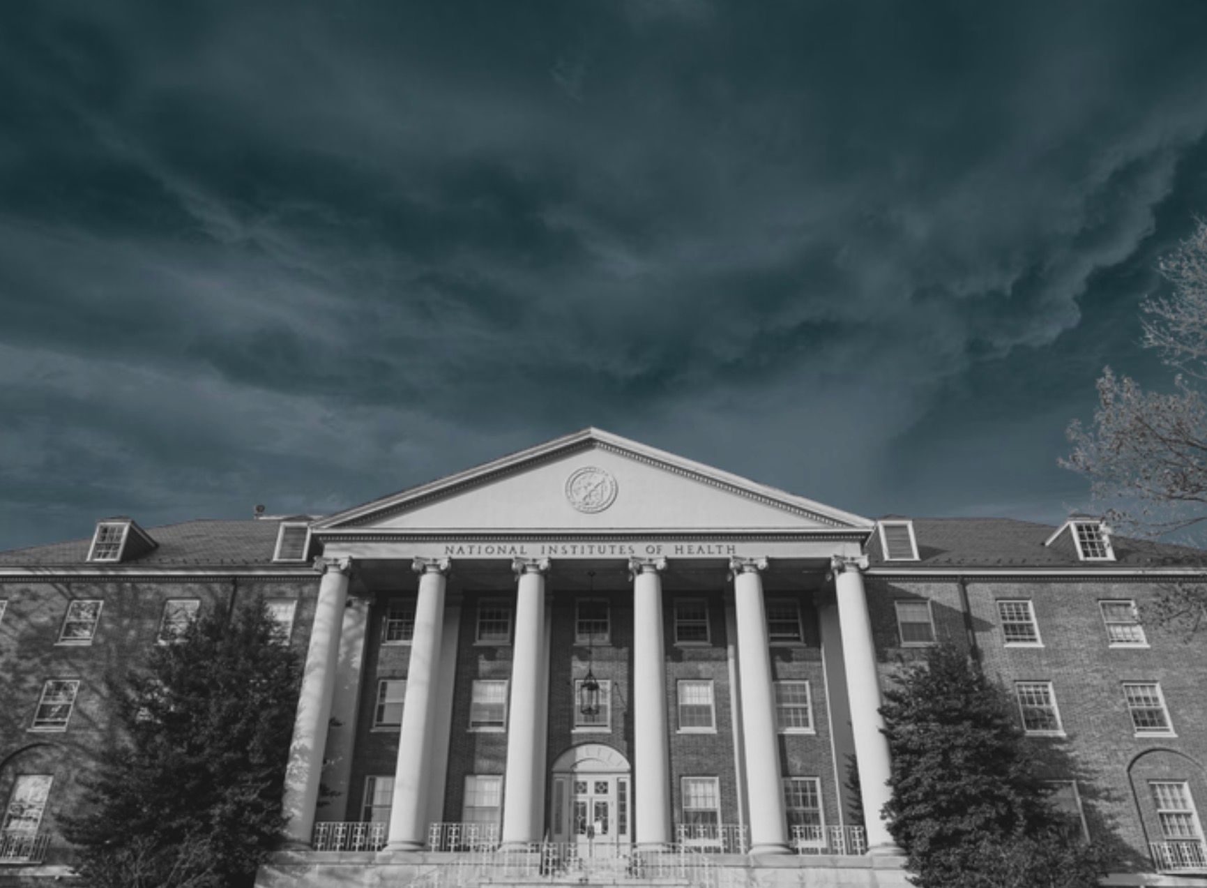 “Rewrite All of Your Woke Science”: Early-Career Researcher Says NIH’s Anti-DEI Agenda is Undermining Agency’s Mission