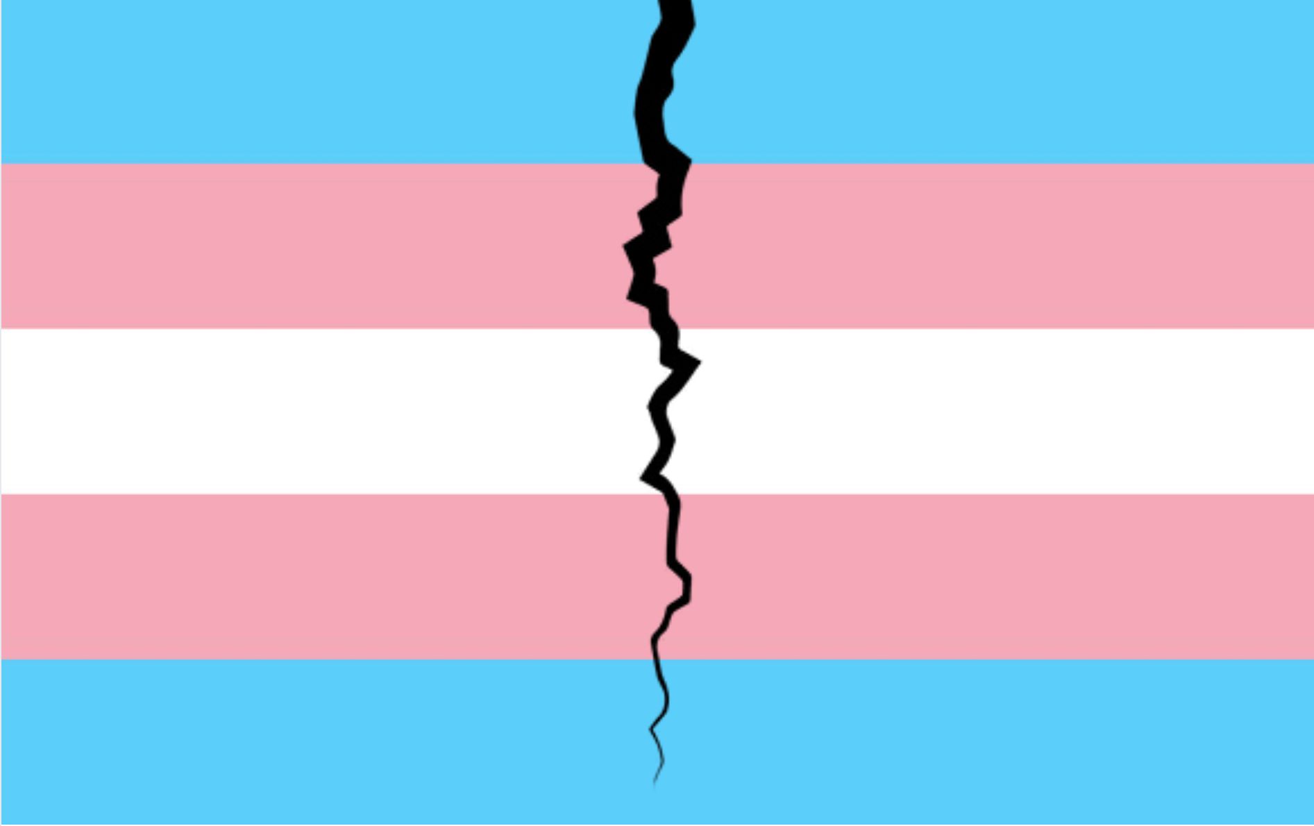 How a Free Speech Group Helped Right-Wing Dark Money Undermine Protections for Trans and Nonbinary Students