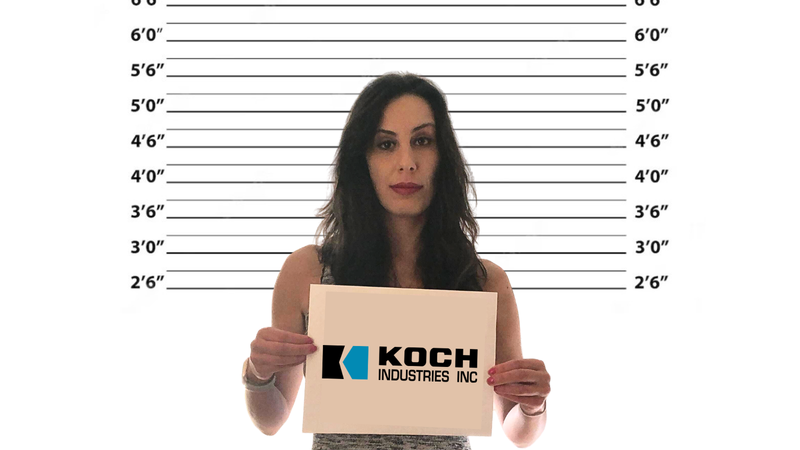 "Koch Funded Hack" Goes to Congress